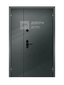 Наружная порошковая входная противопожарная дверь со секлом ДП-010